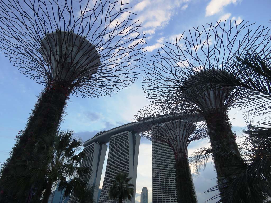 Сингапур сады