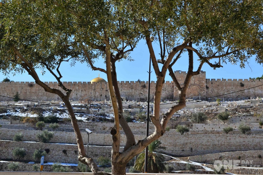 Израиль Иерусалим Старый город.JPG